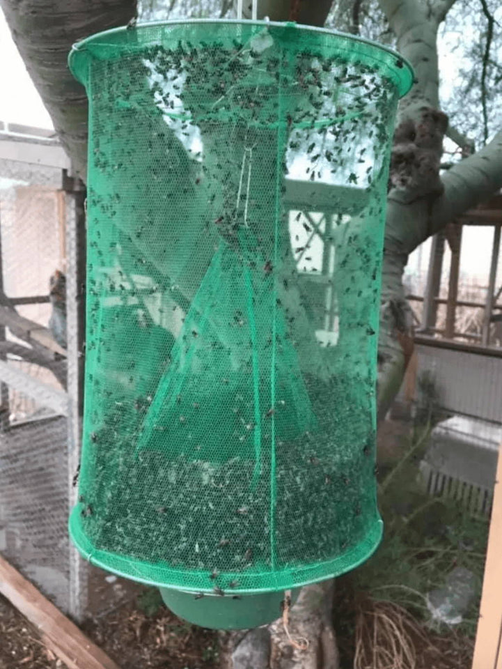 Fly Trap