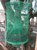 Fly Trap