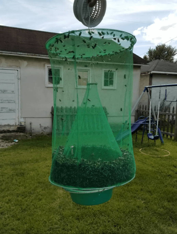 Fly Trap