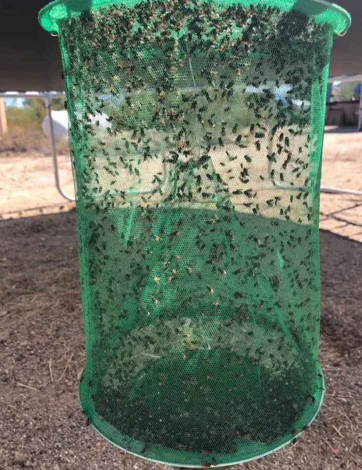 Fly Trap
